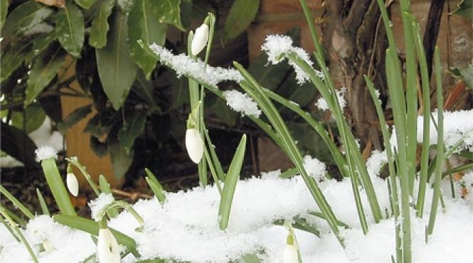 vremea calda sfarsitul lunii martie