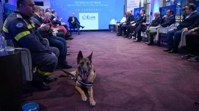 avertisment vrancea cutremur magnitudine 8 grade scara richter locuinte asigurate