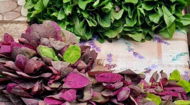 7 beneficii loboda sanatate