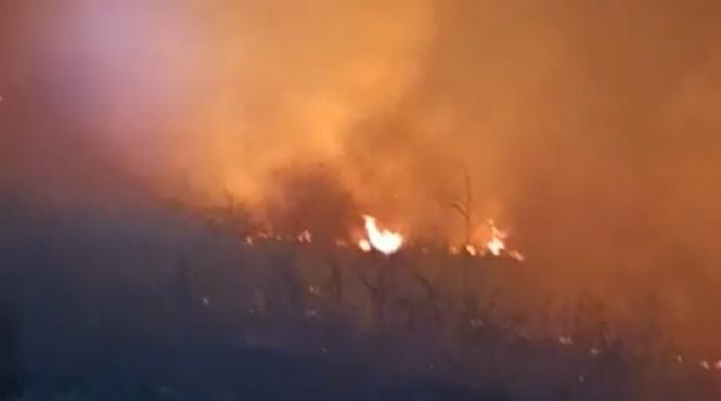 incendiu violent in mures ard 20 de hectare de vegetatie uscata