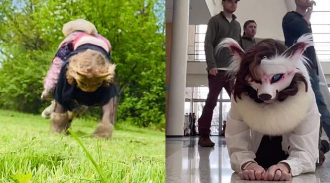 therienii atacat caine parc