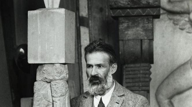 brancusi copilarie adolescenta stana briceag bani