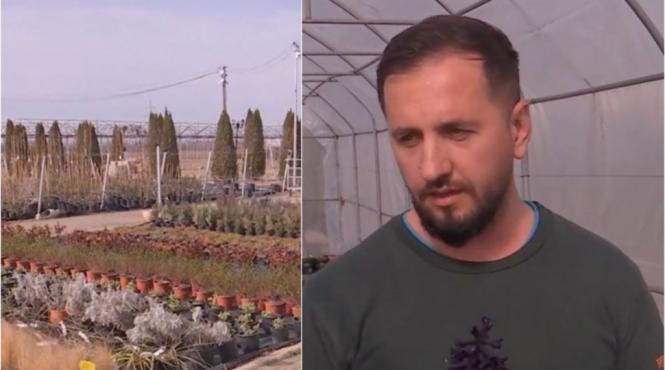 afacere flori tisau pasiune transformata afacere