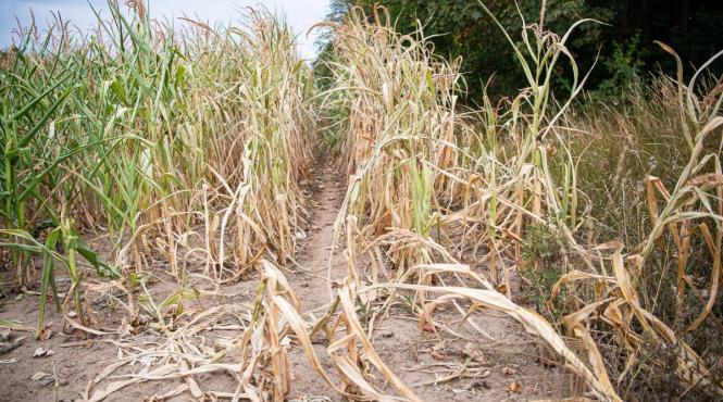 risc major clima incendii inundatii incalzire globala