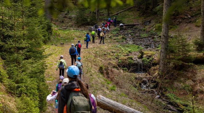 muza george cosbuc gretchen sasoaica poteca paltinis