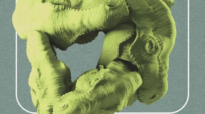 pterodactili o productie in regia lui radu iacoban si r evolutie ghid de supravietuire in secolul xxi in regia lui radu nica la teatrul excelsior