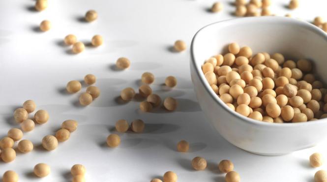 alimente mangan beneficii sanatate