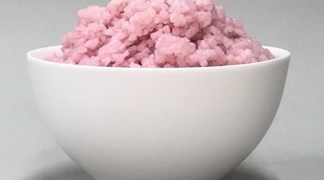 celula vita bob orez cultivare sursa proteina viitor