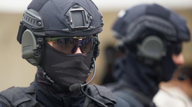 clanuri interlope pedepse legislatie crimina organizata