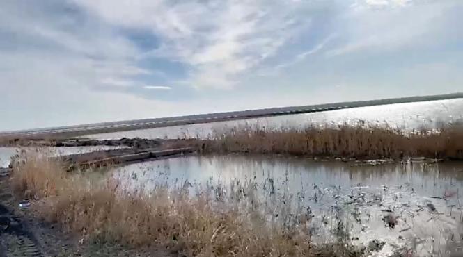 harsova fermieri terenuri inundate primar