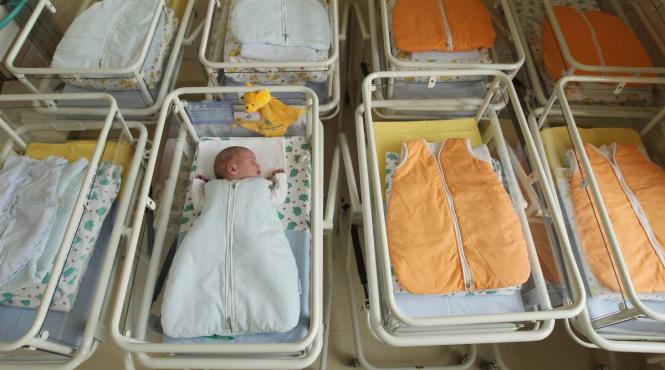 scadere rata globala fertilitate studiu