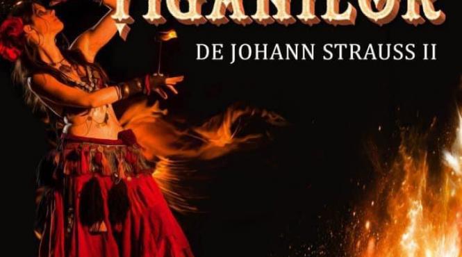 teatrul national de opereta si musical ion dacian prezinta programul lunii aprilie