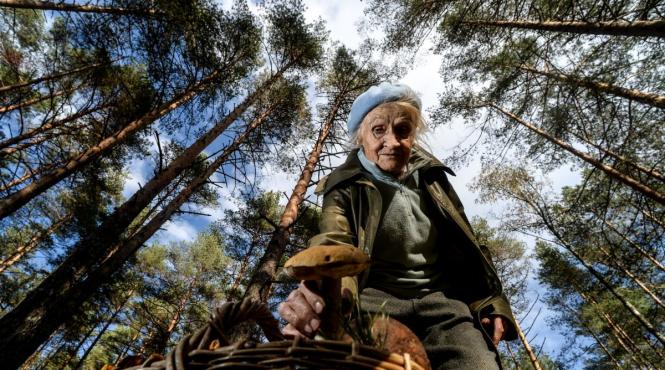 umami cincilea gust perfectiune savoare