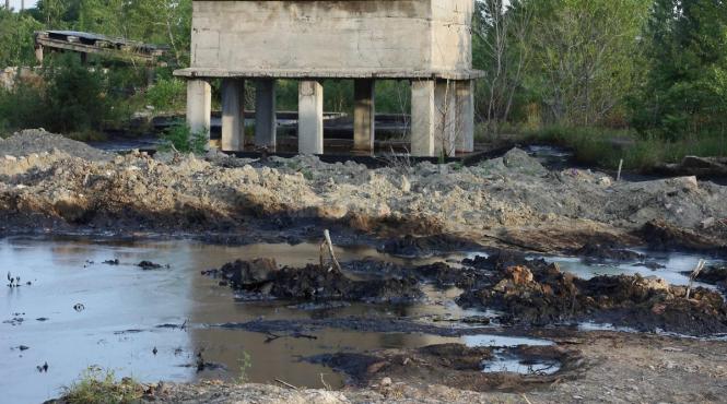 poluare paraul peta oradea