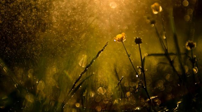 prognoza meteo frig ploi torentiale