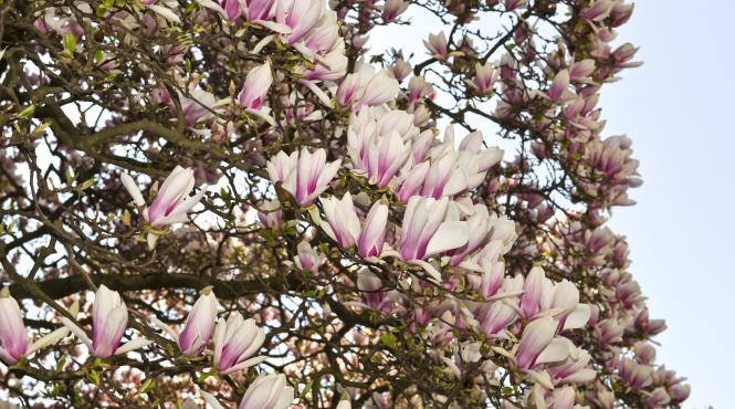 vreme prognoza temperaturi aprilie