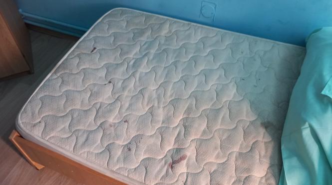 invazie plosnite caminele studentesti brasov