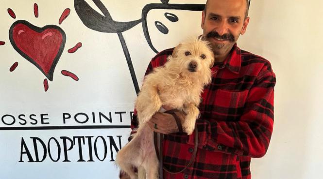 caine disparut un an casa gasit 3000 km