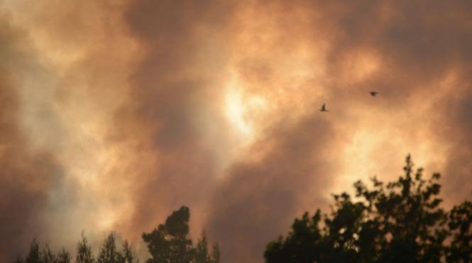 incendiu puternic capitala depozit sector 1