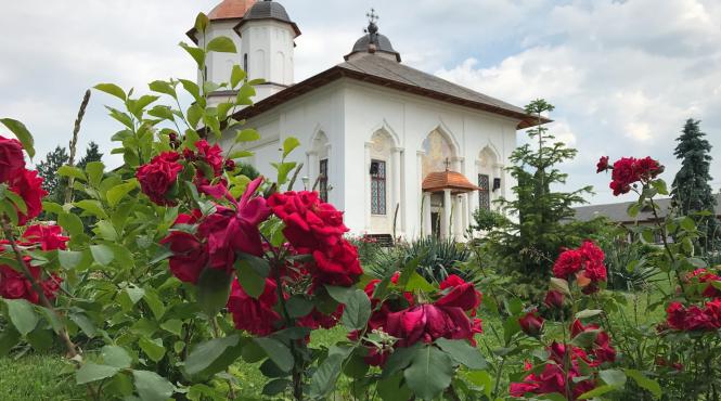 manastirea cernica sfantul ierarh calinic hram