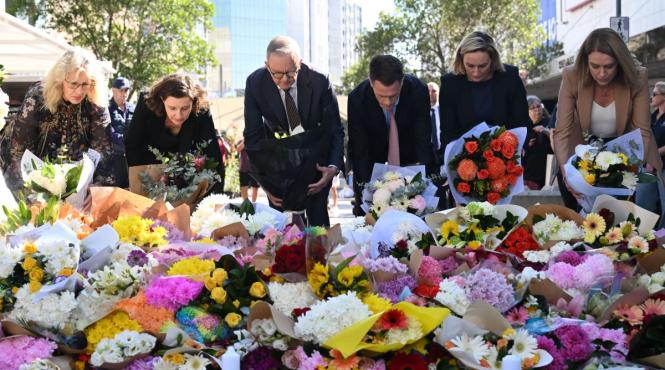 atacator cutit sydney tinta femei