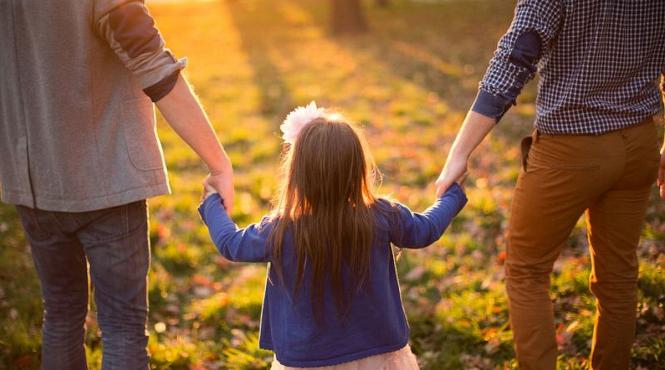 legea adoptiei completari iohannis