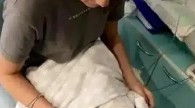 tanara nascut doua ori distanta 22 zile explicatie incredibila