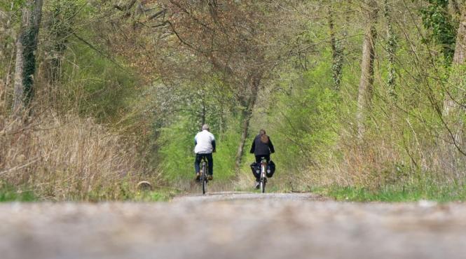 trasee montane bicicleta aprobari cod silvic restrictionare acces