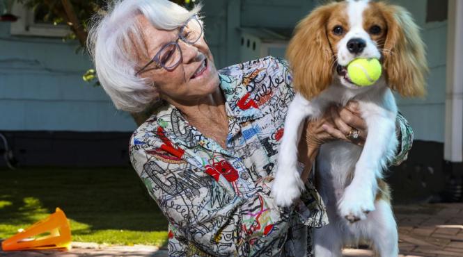 8 rase caini seniori