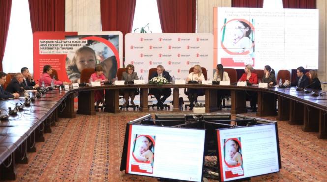 sprijin ong minore mame