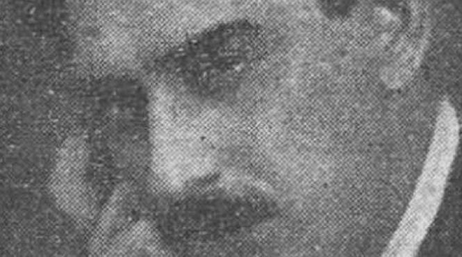 poet vindea perdele expresionism