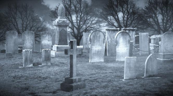 primul cimitir ecologic mare oras romania