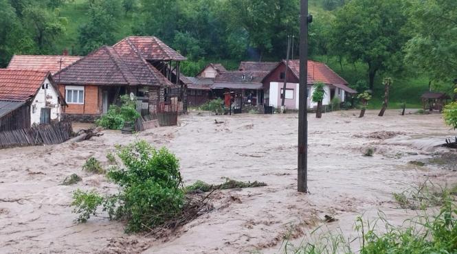 cod galben inundatii rauri bihor