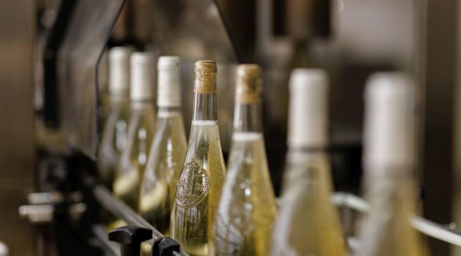 cotnari digital bei vin si vezi in direct ce i prin crama