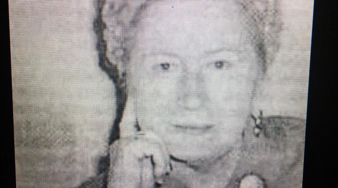 ioana postelnicu scriitoare burgheza romane