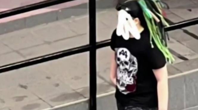 fenomen furry scoli elevi costumati comportament animale