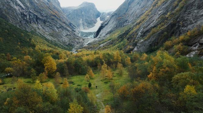 songs of earth produs de wim wenders deschide a doua editie a lynx festival