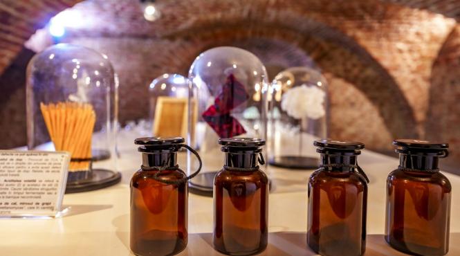 muzeul national de arta timisoara deschide bufetul simturilor galeria arcada initiat de cramele recas cu ocazia capitalei europene a culturii