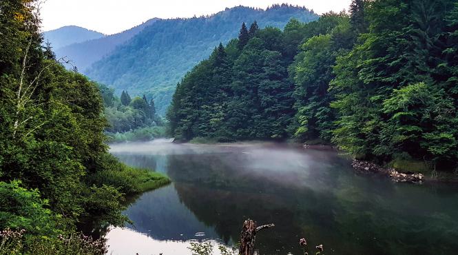 yellowstone parc natural ucea referendum combinat