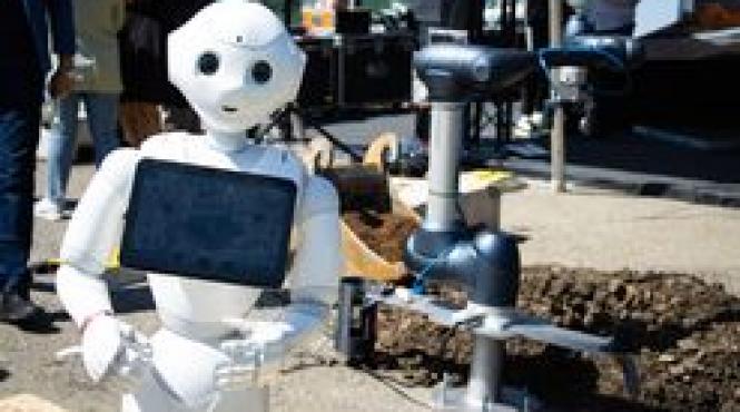 bolos romania institut cercetare inteligenta artificiala