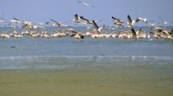 romania promovare oferta turistica itb china shanghai