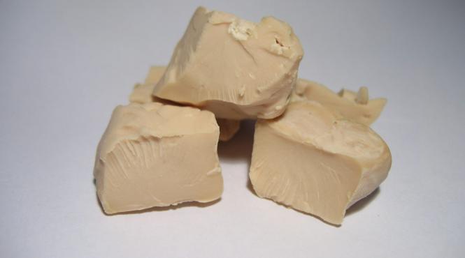 creata proteina aer electricitate