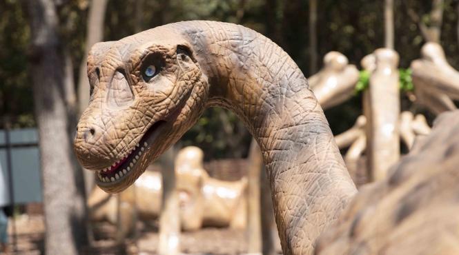 parc distractii litoral ziua copilului