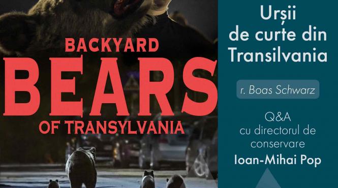 pe 4 iunie incepe la brasov lynx festival editia a 2 a a festivalului a epuizat deja biletele online pentru toate proiectiile din program