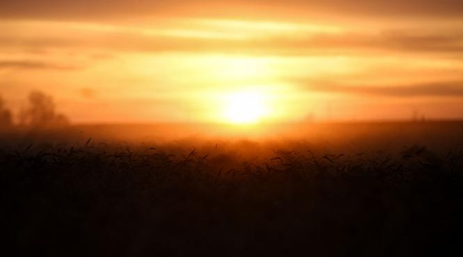 alerta canicula loveste romania oltenia muntenia cod portocaliu