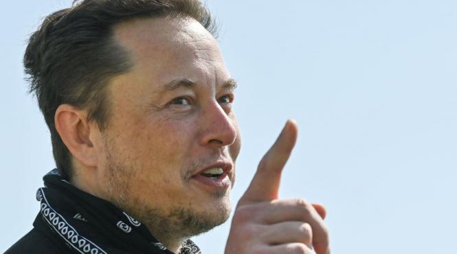 tesla model y elon musk