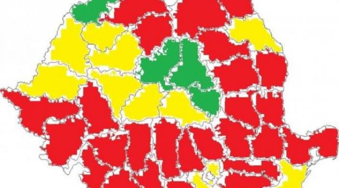 alegeri locale 2024 birou electoral central psd