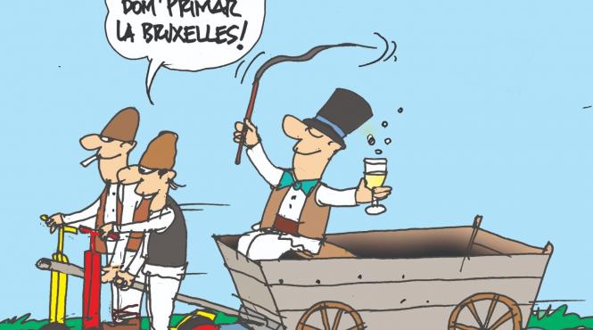 nicusor dan exit poll curs avangarde dreapta unita