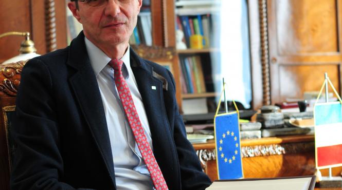 istorie catolicism violenta sacrificii educatie perceptie