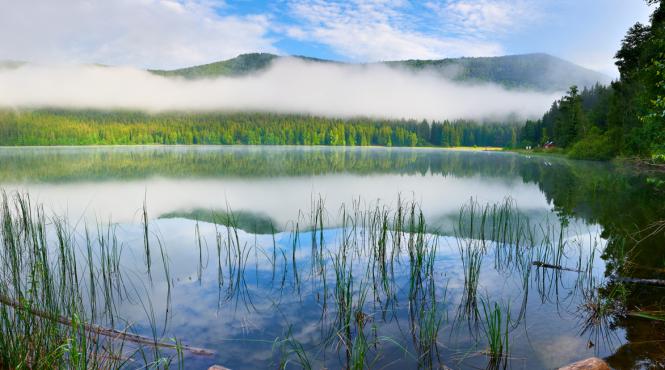 lacul sfanta ana dezastru ecologic alge caras mlastina